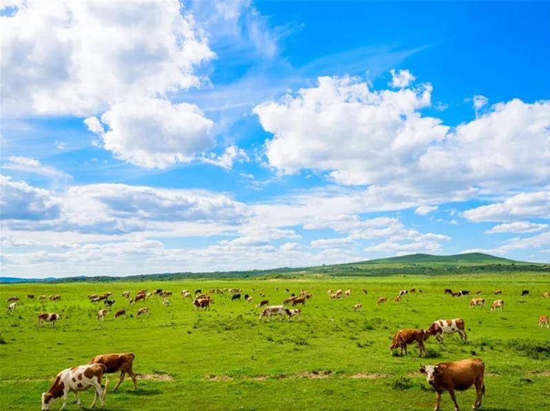 内蒙古自然美景探索之旅,寻求内心平和与宁静的旅程
